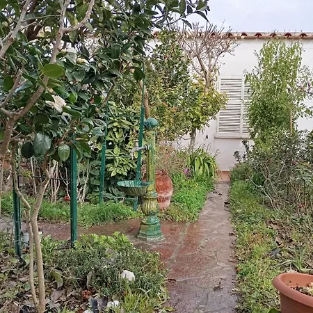 Di Iorio * Barano dʼIschia